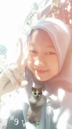 kucing 