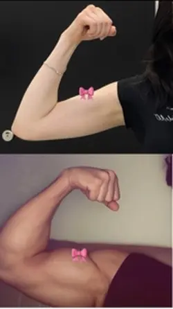 Biceps template