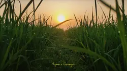 4k slow motion 