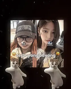 kucing joget