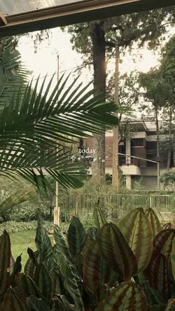 aesthetic vlog