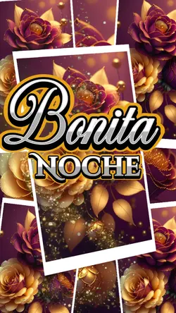 Bonita noche 