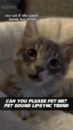 Pet Me Lip Sync 