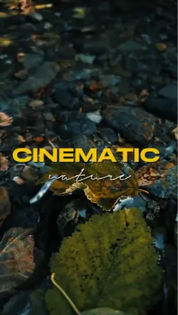 8 Clips Videos