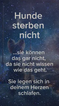 Sie gehen nie fort