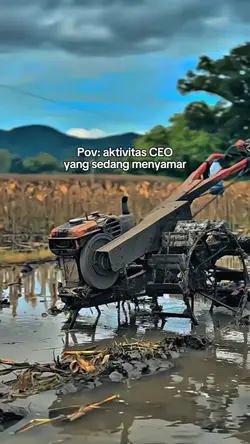 aktivitas ceo