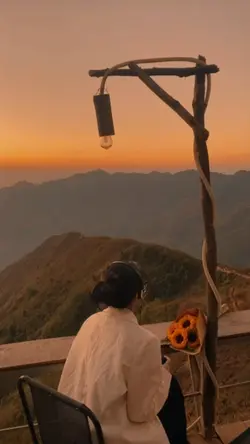 aesthetic 