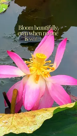 Bloom Beautifully 