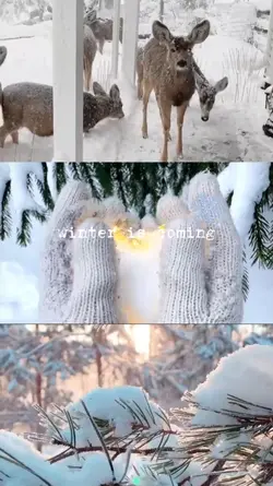 Winter is coming