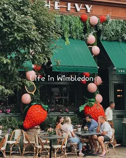 Life in Wimbledon 