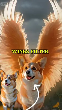 wings filter 