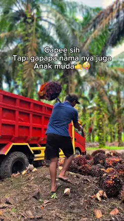 Sawit