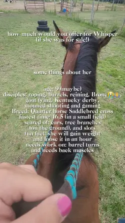 my special pony