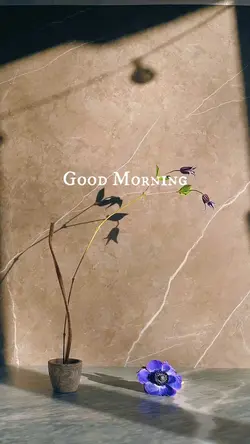 Good Morning 