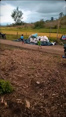 D uso ang cp