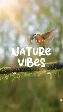 Nature Vibes