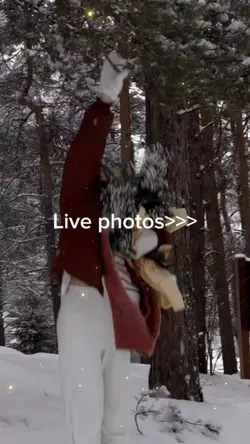 live photos 