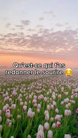 smile 