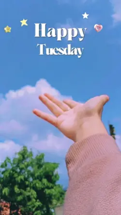 Happy Tuesday