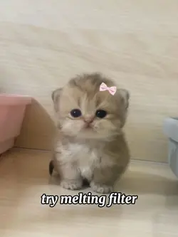 melting ai filter 