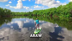 Liwanag ng bagong si