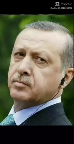 Reisim