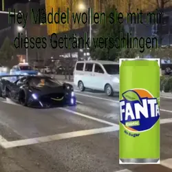 Gehirn schimmel