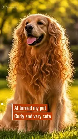 pet Perm Curly ai