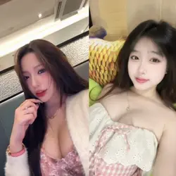 2 parallel videos