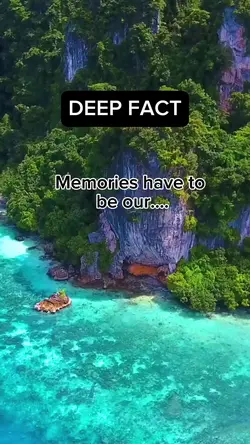 Deep Fact