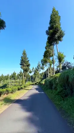 8 video road trip