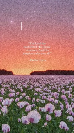 Verse of the Day!