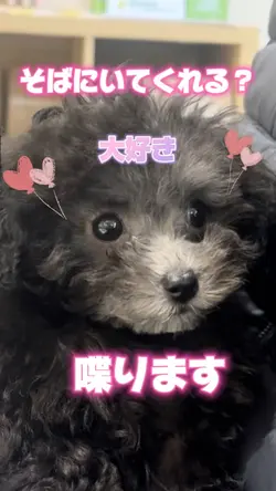 そばにいてくれる？♥️セリフ動画