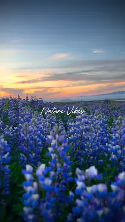 nature vibes