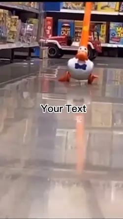 Die Ente 
