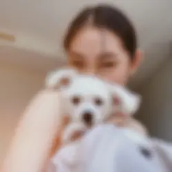 BLUR
