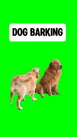 DOG BARKING