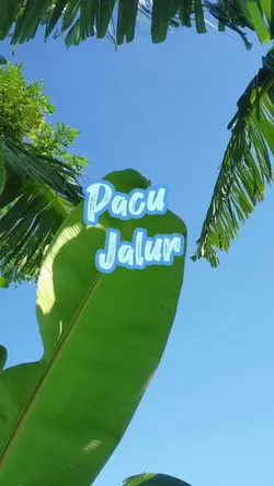 JJ Pacu Jalur