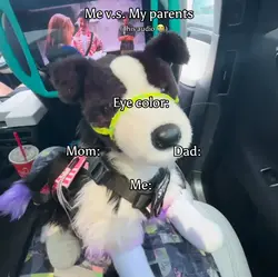 Repost lol