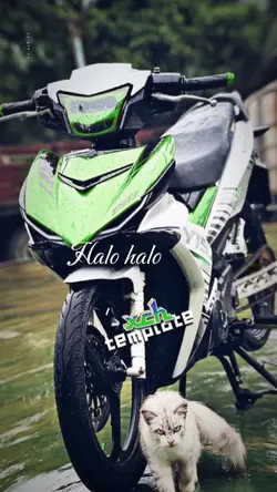 HaloHaloPeminatbando