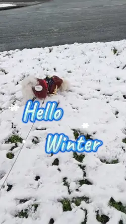Hello Winter
