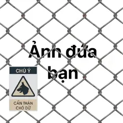 Mẫu troll bạn bè