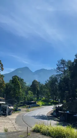 Aesthetic sholawat
