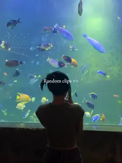 Random clips
