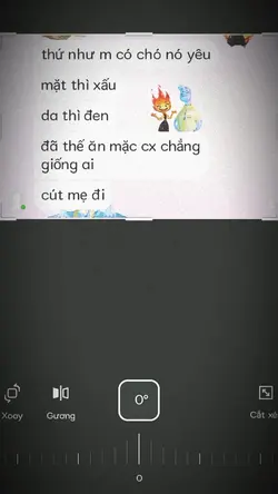 1 ảnh
