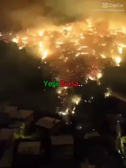 türkiye bursa yangın
