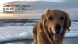 saudades de você