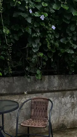 nhiều ảnh nhẹ nhàng