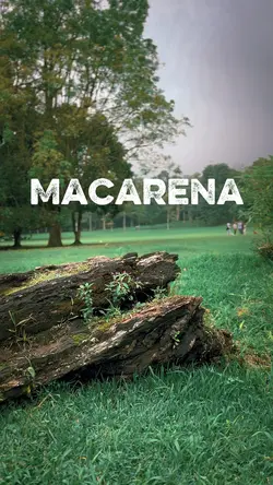 Macarena