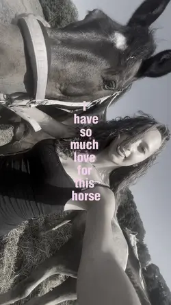Love for this horse